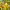 Лимон Київський (з квітами) (40-60 см, ЗКС)