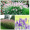Набор декоративных растений: лаванда, пеннисетум, мискантус (однолетний, ЗКС)