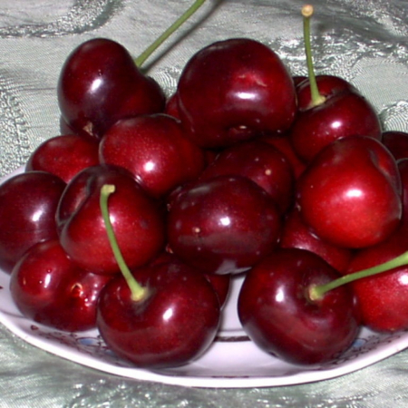 Черешня Крупноплодная (Трехлетний, ОКС)