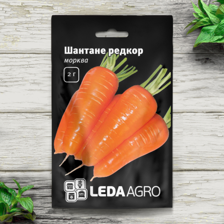 Морковь Шантане Редкор (2г, Leda Agro)