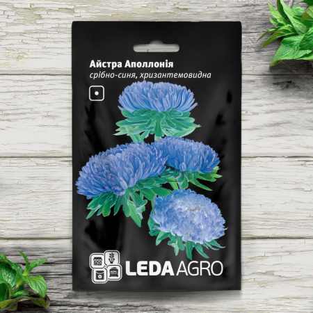 Астра Серебристо-синяя хризантемовидная, Апполония (5г,  Leda Agro)