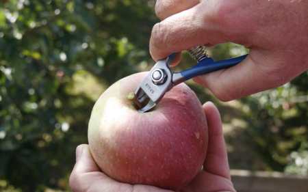 Кусачки 110 мм для збору яблук/врожаю, Manzana (M14-AM)