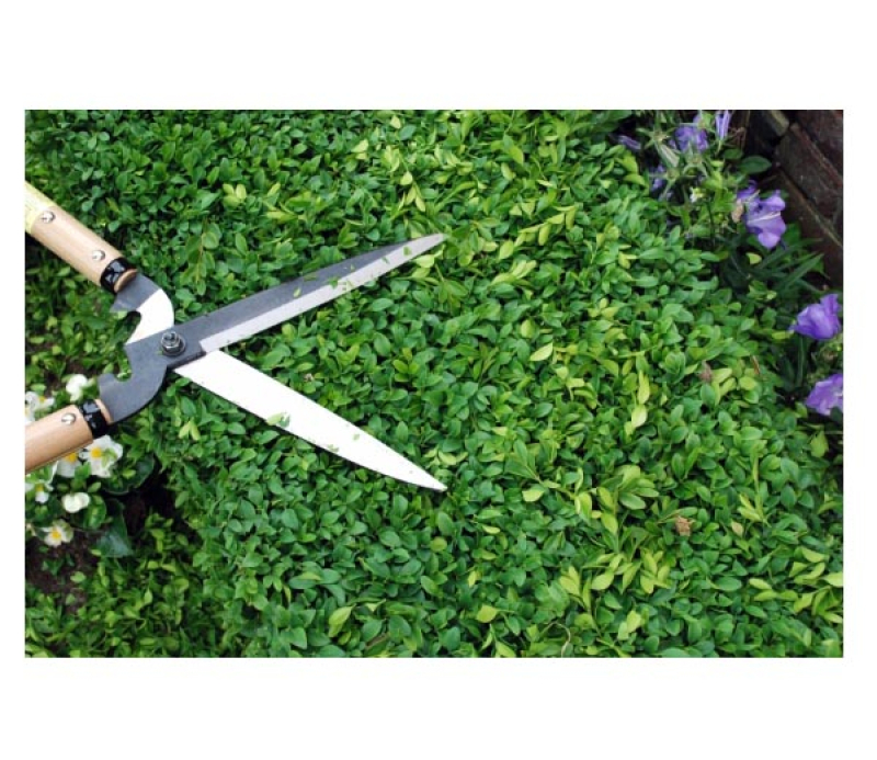Садовые ножницы для живой изгороди Okatsune KST231 (KST231). Купить .