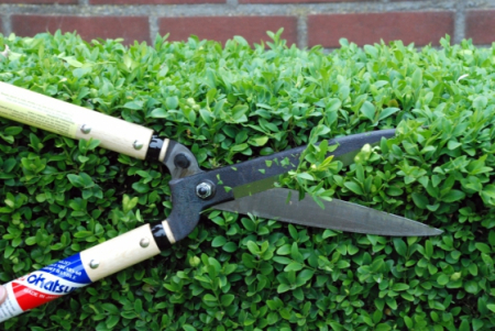 Садовые ножницы для живой изгороди Okatsune KST217 (KST217)