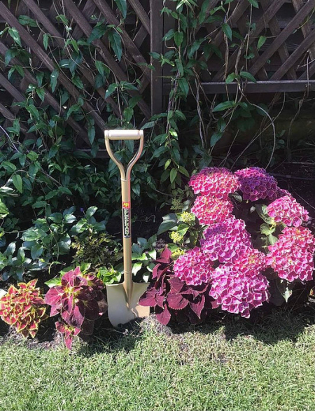 Лопата садовая Niwaki, маленькая 820x160x28 мм, 0.98 кг (Lopata_M)