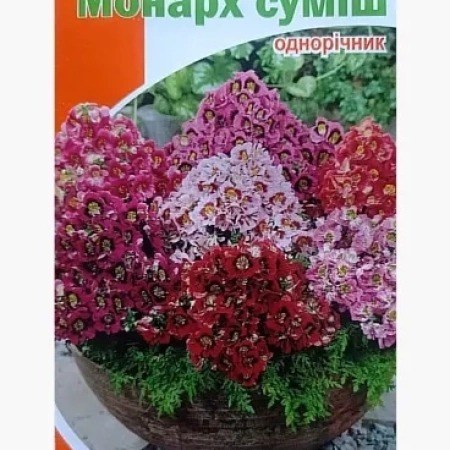 Семена Шизантус   Монарх - смесь 0,3 г