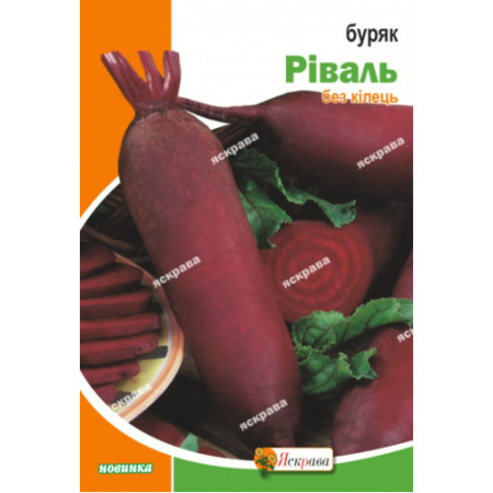Семена Свекла Риваль 3 г