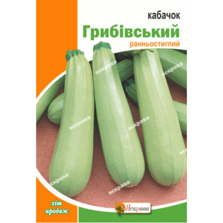 Семена Кабачок Грибовский  100 г