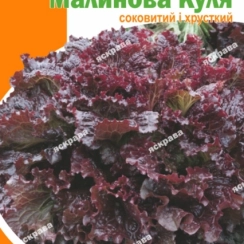 Семена Салат Малиновый шар семена 50 г.