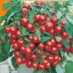 Семена Томат  Черри красный 0,1 г