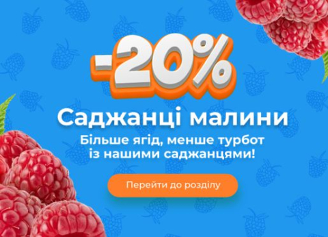 Садженцi малини -20%