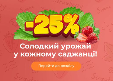 Саджанці полуниці -25%